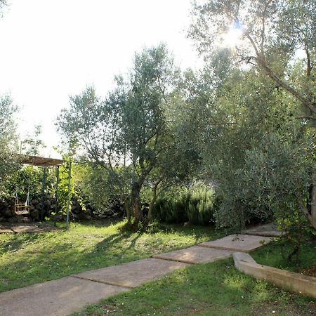 Turkovic Apartments Zgaljic Экстерьер фото