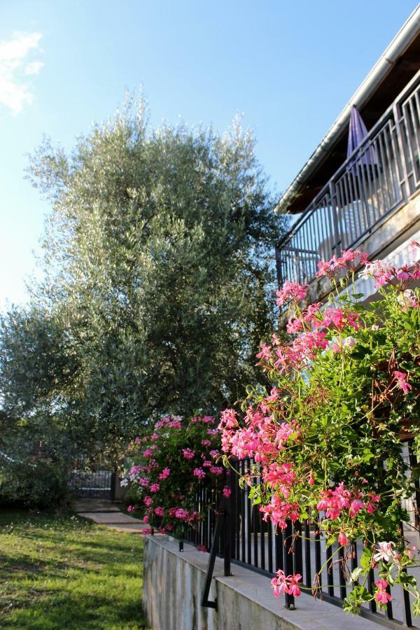 Turkovic Apartments Zgaljic Экстерьер фото