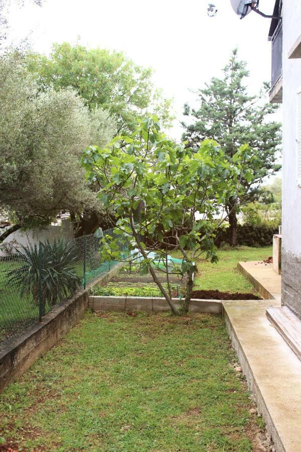 Turkovic Apartments Zgaljic Экстерьер фото